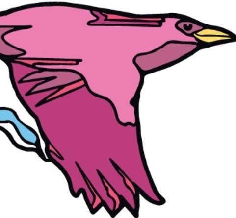 Elevate venture fund investing $21.5 million in Blackbird NZ fund