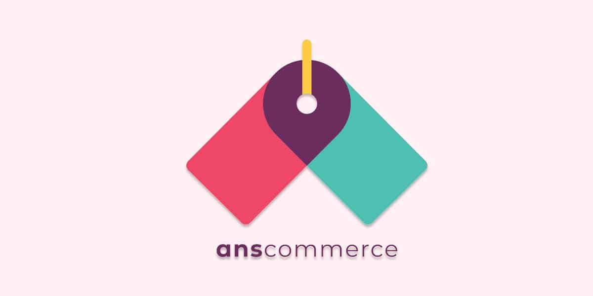 ANS Commerce has raised $2.2 million in its pre-Series A round