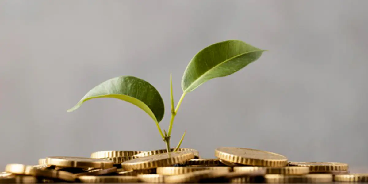 Digiboxx has raised new assets and is presently esteemed at $15 million in pre-series A financing