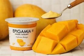 “Epigamia: From Greek Yogurt to Startup Success Stories”
