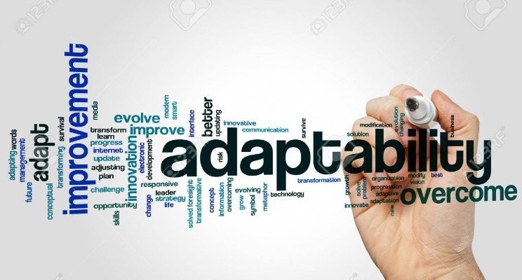 Adaptability: Embrace change and stay informed to navigate challenges effectively.


