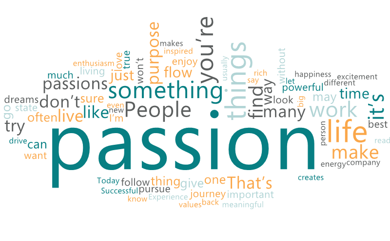 Focusing Only on Passion