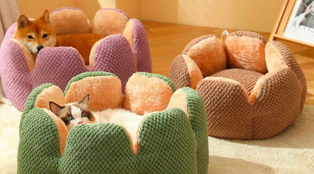 Cat Tents: Create cozy cat tents with personalized designs.

