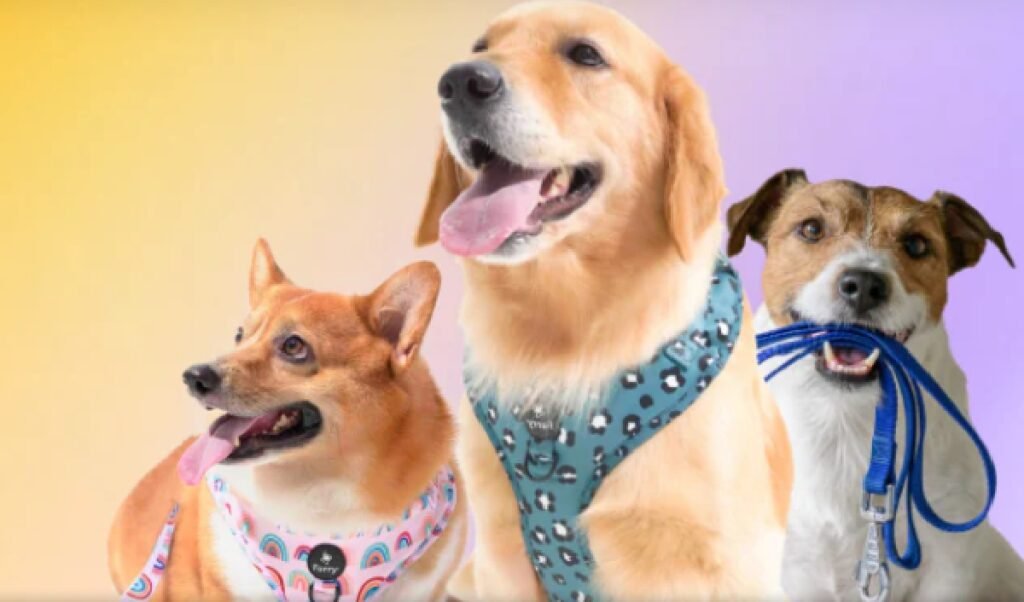 Pet Supplies: Design custom collars and clothing for pets.

