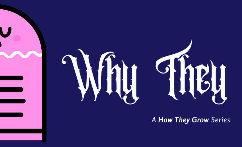 Quibi Case Study: How $1.75 Billion Bought Conviction, Not Truth